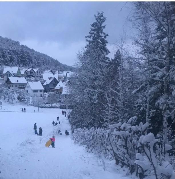 Ferienwohnung Am Tor Zum Thueringer Wald Plaue  Экстерьер фото